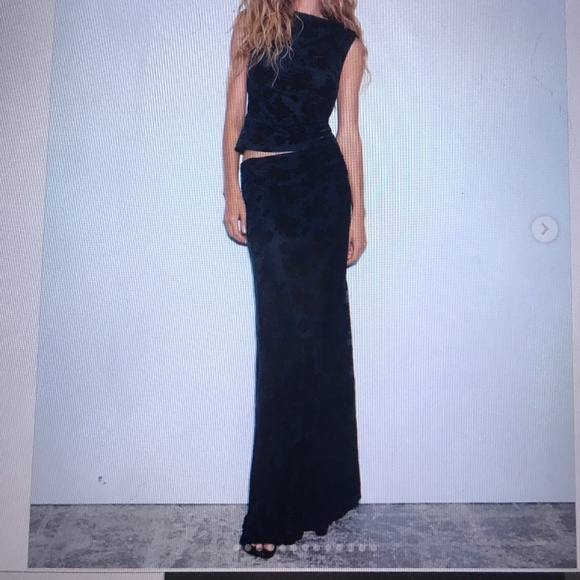 Zara  skirt Set Flocked Tulle Top and Skirt Burnout (L) Set - Picture 1 of 8
